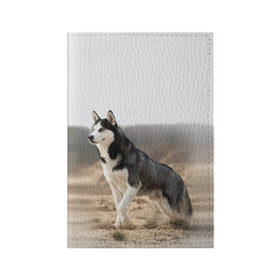Обложка для паспорта матовая кожа с принтом Хаски в Кировске, натуральная матовая кожа | размер 19,3 х 13,7 см; прозрачные пластиковые крепления | Тематика изображения на принте: dog | husky | siberia | север | сибирь | собака | хаски