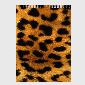 Скетчбук с принтом Леопард в Кировске, 100% бумага
 | 48 листов, плотность листов — 100 г/м2, плотность картонной обложки — 250 г/м2. Листы скреплены сверху удобной пружинной спиралью | леопард | пятна | шерсть