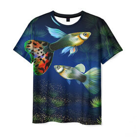 Мужская футболка 3D с принтом Аквариумные рыбки в Кировске, 100% полиэфир | прямой крой, круглый вырез горловины, длина до линии бедер | аквариум | вода | водоросли | природа | рыба | рыбка | туризм