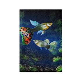 Обложка для паспорта матовая кожа с принтом Аквариумные рыбки в Кировске, натуральная матовая кожа | размер 19,3 х 13,7 см; прозрачные пластиковые крепления | аквариум | вода | водоросли | природа | рыба | рыбка | туризм