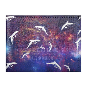 Обложка для студенческого билета с принтом Дельфин в Кировске, натуральная кожа | Размер: 11*8 см; Печать на всей внешней стороне | Тематика изображения на принте: дельфин | космос