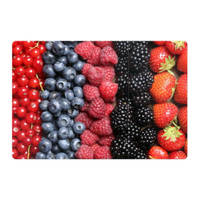 Магнитный плакат 3Х2 с принтом Сочные ягоды в Кировске, Полимерный материал с магнитным слоем | 6 деталей размером 9*9 см | богатый урожай | брусника | ерга | земляника | клубника | клюква | малина | морожка | облепиха | рябина | смородина | сок | сочные плоды | фрукты | черника | черноплодка | шиповник | ягоды