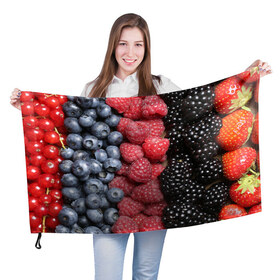 Флаг 3D с принтом Сочные ягоды в Кировске, 100% полиэстер | плотность ткани — 95 г/м2, размер — 67 х 109 см. Принт наносится с одной стороны | богатый урожай | брусника | ерга | земляника | клубника | клюква | малина | морожка | облепиха | рябина | смородина | сок | сочные плоды | фрукты | черника | черноплодка | шиповник | ягоды