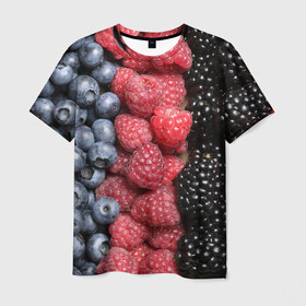 Мужская футболка 3D с принтом Сочные ягоды в Кировске, 100% полиэфир | прямой крой, круглый вырез горловины, длина до линии бедер | богатый урожай | брусника | ерга | земляника | клубника | клюква | малина | морожка | облепиха | рябина | смородина | сок | сочные плоды | фрукты | черника | черноплодка | шиповник | ягоды
