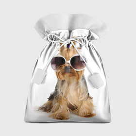 Подарочный 3D мешок с принтом Модница в Кировске, 100% полиэстер | Размер: 29*39 см | Тематика изображения на принте: fashion | животное | красавица | лучший друг | модница | няша | очки | причёска | собака | собачка | щенок | щеночек