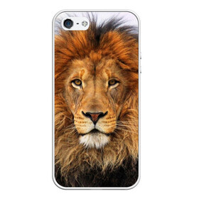 Чехол для iPhone 5/5S матовый с принтом Красавец лев в Кировске, Силикон | Область печати: задняя сторона чехла, без боковых панелей | lion | грива | дикая кошка | добыча | животное | зверь | клыки | когти | король джунглей | лев | мясо | хищник | царь зверей