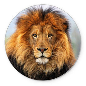 Коврик круглый с принтом Красавец лев в Кировске, резина и полиэстер | круглая форма, изображение наносится на всю лицевую часть | lion | грива | дикая кошка | добыча | животное | зверь | клыки | когти | король джунглей | лев | мясо | хищник | царь зверей