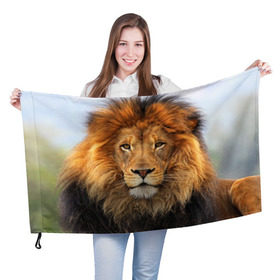 Флаг 3D с принтом Красавец лев в Кировске, 100% полиэстер | плотность ткани — 95 г/м2, размер — 67 х 109 см. Принт наносится с одной стороны | lion | грива | дикая кошка | добыча | животное | зверь | клыки | когти | король джунглей | лев | мясо | хищник | царь зверей