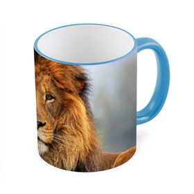 Кружка 3D с принтом Красавец лев в Кировске, керамика | ёмкость 330 мл | lion | грива | дикая кошка | добыча | животное | зверь | клыки | когти | король джунглей | лев | мясо | хищник | царь зверей
