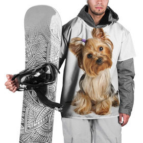 Накидка на куртку 3D с принтом Красотка в Кировске, 100% полиэстер |  | Тематика изображения на принте: fashion | животное | красавица | лучший друг | модница | няша | причёска | собака | собачка | щенок | щеночек