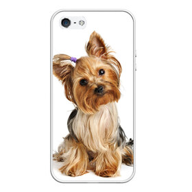 Чехол для iPhone 5/5S матовый с принтом Красотка в Кировске, Силикон | Область печати: задняя сторона чехла, без боковых панелей | fashion | животное | красавица | лучший друг | модница | няша | причёска | собака | собачка | щенок | щеночек