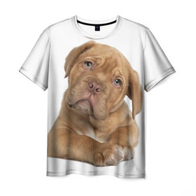 Мужская футболка 3D с принтом Грустный щенок в Кировске, 100% полиэфир | прямой крой, круглый вырез горловины, длина до линии бедер | Тематика изображения на принте: животное | лучший друг | милаха | няша | собака | собачка | щенок | щеночек