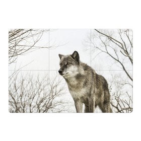 Магнитный плакат 3Х2 с принтом Волк во весь рост в Кировске, Полимерный материал с магнитным слоем | 6 деталей размером 9*9 см | Тематика изображения на принте: волк | хищник