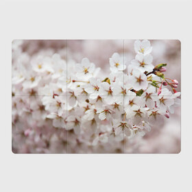 Магнитный плакат 3Х2 с принтом Весеннее цветение в Кировске, Полимерный материал с магнитным слоем | 6 деталей размером 9*9 см | белый | весна | лепестки | прикольные картинки | цветочки | цветы