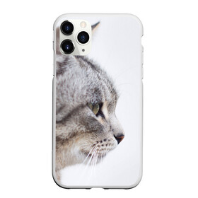 Чехол для iPhone 11 Pro Max матовый с принтом Серый кот в Кировске, Силикон |  | взгляд | глаза | голова животного | киска | кот | котёнок | кошка | прикольные картинки
