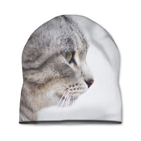 Шапка 3D с принтом Серый кот в Кировске, 100% полиэстер | универсальный размер, печать по всей поверхности изделия | взгляд | глаза | голова животного | киска | кот | котёнок | кошка | прикольные картинки