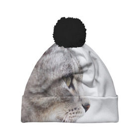 Шапка 3D c помпоном с принтом Серый кот в Кировске, 100% полиэстер | универсальный размер, печать по всей поверхности изделия | взгляд | глаза | голова животного | киска | кот | котёнок | кошка | прикольные картинки