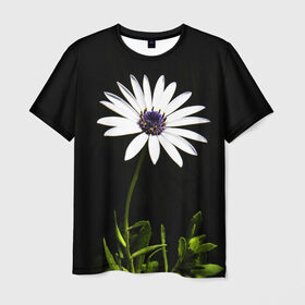Мужская футболка 3D с принтом Цветок счастья в Кировске, 100% полиэфир | прямой крой, круглый вырез горловины, длина до линии бедер | лепестки | прикольные картинки | цветочки | цветы