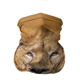 Бандана-труба 3D с принтом Лев в Кировске, 100% полиэстер, ткань с особыми свойствами — Activecool | плотность 150‒180 г/м2; хорошо тянется, но сохраняет форму | взгляд | животные | лев | природа | хищники