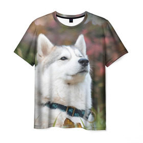 Мужская футболка 3D с принтом Хаски в Кировске, 100% полиэфир | прямой крой, круглый вырез горловины, длина до линии бедер | лайка | маламут | песик | песики | собака | собаки | хаски