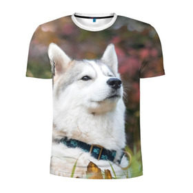 Мужская футболка 3D спортивная с принтом Хаски в Кировске, 100% полиэстер с улучшенными характеристиками | приталенный силуэт, круглая горловина, широкие плечи, сужается к линии бедра | лайка | маламут | песик | песики | собака | собаки | хаски