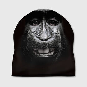 Шапка 3D с принтом обезьяна в Кировске, 100% полиэстер | универсальный размер, печать по всей поверхности изделия | взгляд | голова | животные | обезьяна | природа