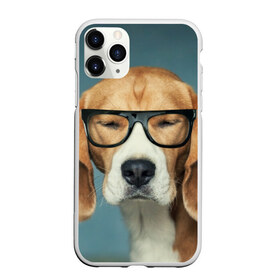 Чехол для iPhone 11 Pro матовый с принтом Бигль в Кировске, Силикон |  | бигль | гончая | дворняжка | охотничья | песик | песики | собака | собаки