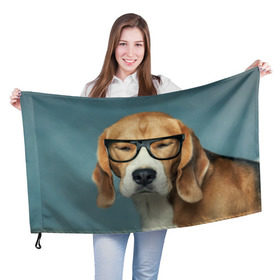 Флаг 3D с принтом Бигль в Кировске, 100% полиэстер | плотность ткани — 95 г/м2, размер — 67 х 109 см. Принт наносится с одной стороны | бигль | гончая | дворняжка | охотничья | песик | песики | собака | собаки