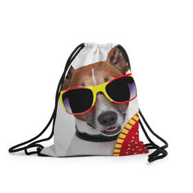 Рюкзак-мешок 3D с принтом Джек Рассел с веером в Кировске, 100% полиэстер | плотность ткани — 200 г/м2, размер — 35 х 45 см; лямки — толстые шнурки, застежка на шнуровке, без карманов и подкладки | джек рассел | песик | песики | собака | собаки | терьер