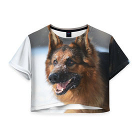Женская футболка 3D укороченная с принтом Длинношерстная овчарка в Кировске, 100% полиэстер | круглая горловина, длина футболки до линии талии, рукава с отворотами | овчарка | овчарки | песик | песики | собака | собаки