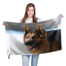 Флаг 3D с принтом Длинношерстная овчарка в Кировске, 100% полиэстер | плотность ткани — 95 г/м2, размер — 67 х 109 см. Принт наносится с одной стороны | овчарка | овчарки | песик | песики | собака | собаки