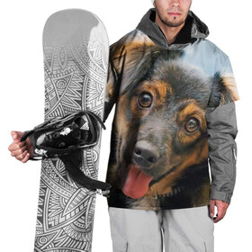 Накидка на куртку 3D с принтом Длинношерстная такса в Кировске, 100% полиэстер |  | Тематика изображения на принте: дворняжка | песик | собака | собаки | собачка | собачки | такса | таксы