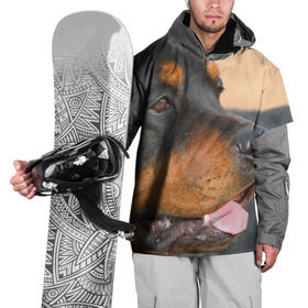 Накидка на куртку 3D с принтом Ротвейлер в Кировске, 100% полиэстер |  | Тематика изображения на принте: большая | пес | песик | псина | ротвейлер | ротвейлеры | собака | собаки