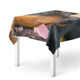 Скатерть 3D с принтом Ротвейлер в Кировске, 100% полиэстер (ткань не мнется и не растягивается) | Размер: 150*150 см | большая | пес | песик | псина | ротвейлер | ротвейлеры | собака | собаки