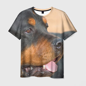 Мужская футболка 3D с принтом Ротвейлер в Кировске, 100% полиэфир | прямой крой, круглый вырез горловины, длина до линии бедер | большая | пес | песик | псина | ротвейлер | ротвейлеры | собака | собаки