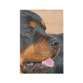 Обложка для паспорта матовая кожа с принтом Ротвейлер в Кировске, натуральная матовая кожа | размер 19,3 х 13,7 см; прозрачные пластиковые крепления | большая | пес | песик | псина | ротвейлер | ротвейлеры | собака | собаки