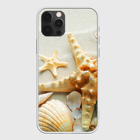 Чехол для iPhone 12 Pro с принтом Морской пляж 5 в Кировске, силикон | область печати: задняя сторона чехла, без боковых панелей | Тематика изображения на принте: море | морская звезда | песок | пляж | ракушки | туризм | турист