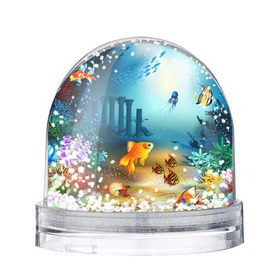 Снежный шар с принтом Золотая рыбка в Кировске, Пластик | Изображение внутри шара печатается на глянцевой фотобумаге с двух сторон | вода | водоросли | море | подводный мир | природа | рыба | рыбка | туризм