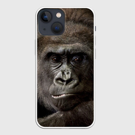 Чехол для iPhone 13 mini с принтом Взгляд в Кировске,  |  | взгляд | голова | животные | обезьяна | природа