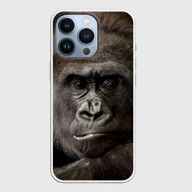 Чехол для iPhone 13 Pro с принтом Взгляд в Кировске,  |  | взгляд | голова | животные | обезьяна | природа