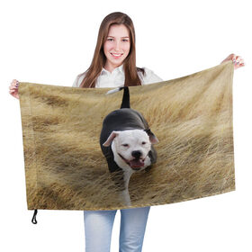 Флаг 3D с принтом Пит-буль на траве в Кировске, 100% полиэстер | плотность ткани — 95 г/м2, размер — 67 х 109 см. Принт наносится с одной стороны | амстафф | буль | пес | песик | питбули | питбуль | собака | собаки | стафф | терьер