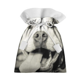 Подарочный 3D мешок с принтом Пит-буль в Кировске, 100% полиэстер | Размер: 29*39 см | Тематика изображения на принте: амстафф | буль | пес | песик | питбули | питбуль | собака | собаки | стафф | терьер