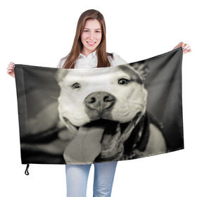 Флаг 3D с принтом Пит-буль в Кировске, 100% полиэстер | плотность ткани — 95 г/м2, размер — 67 х 109 см. Принт наносится с одной стороны | амстафф | буль | пес | песик | питбули | питбуль | собака | собаки | стафф | терьер