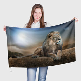 Флаг 3D с принтом Лев в Кировске, 100% полиэстер | плотность ткани — 95 г/м2, размер — 67 х 109 см. Принт наносится с одной стороны | животные | лев | природа | пустыня