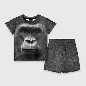 Детский костюм с шортами 3D с принтом Взгляд в Кировске,  |  | взгляд | голова | животные | о.м.с.к. | обезьяна | природа