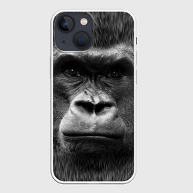 Чехол для iPhone 13 mini с принтом Взгляд в Кировске,  |  | взгляд | голова | животные | о.м.с.к. | обезьяна | природа
