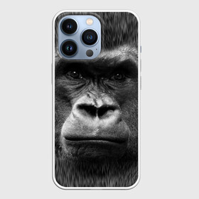 Чехол для iPhone 13 Pro с принтом Взгляд в Кировске,  |  | взгляд | голова | животные | о.м.с.к. | обезьяна | природа