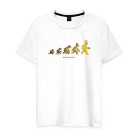 Мужская футболка хлопок с принтом Эволюция Гомера в Кировске, 100% хлопок | прямой крой, круглый вырез горловины, длина до линии бедер, слегка спущенное плечо. | homer simpson | the simpsons | гомер | симпсоны | эволюция