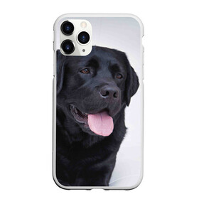 Чехол для iPhone 11 Pro матовый с принтом Черный лабрадор в Кировске, Силикон |  | большая | золотистый | лабрадор | лабрадоры | палевый | песик | ретривер | собака | собаки
