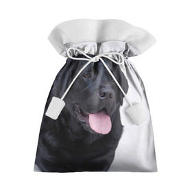 Подарочный 3D мешок с принтом Черный лабрадор в Кировске, 100% полиэстер | Размер: 29*39 см | Тематика изображения на принте: большая | золотистый | лабрадор | лабрадоры | палевый | песик | ретривер | собака | собаки